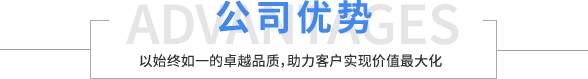 公司优势